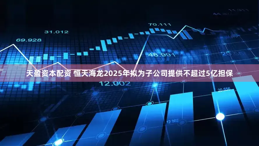 天盈资本配资 恒天海龙2025年拟为子公司提供不超过5亿担保