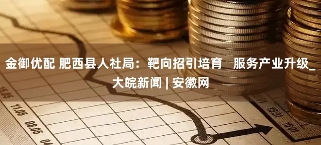 金御优配 肥西县人社局：靶向招引培育   服务产业升级_大皖新闻 | 安徽网